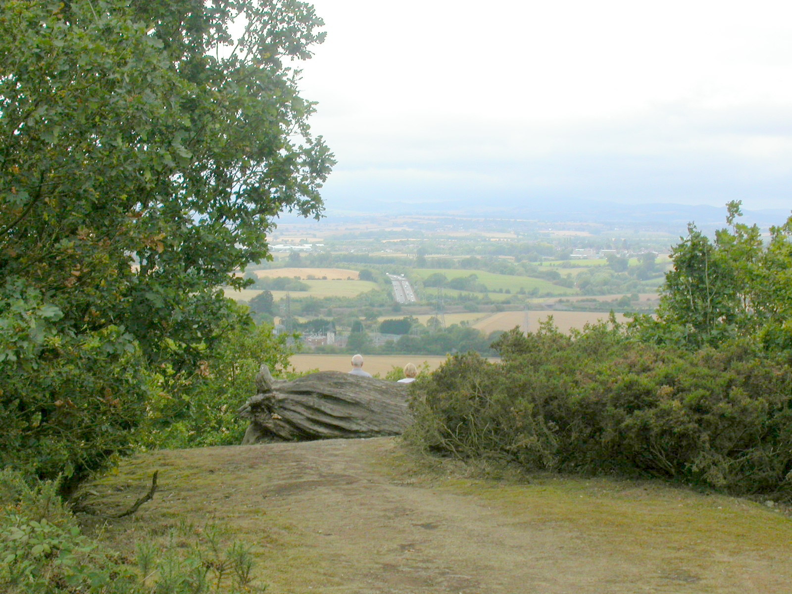 link to services page